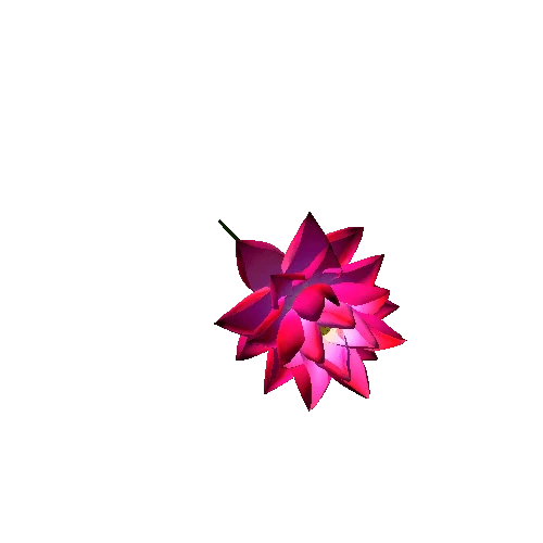 lotus flower 7